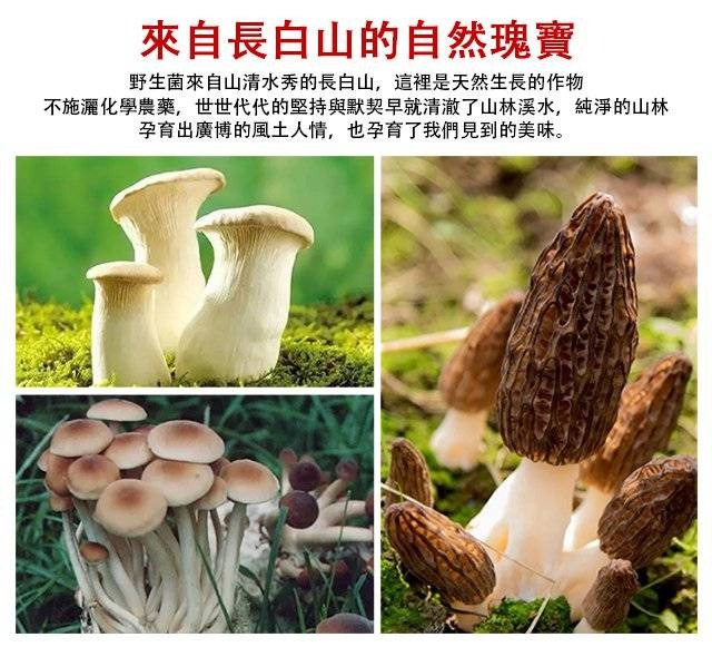 1761190031714825.jpg 1761190031714825.jpg